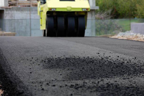 Best Local Driveway Pavers  in Johnsonville, SC