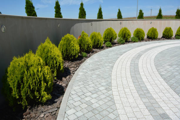 Best Concrete Paver Driveway  in Johnsonville, SC