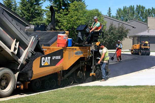 Best Local Driveway Pavers  in Johnsonville, SC